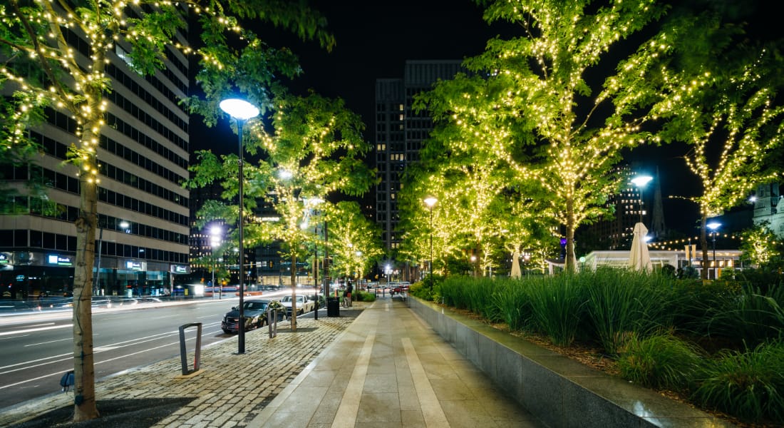 dilworth-charlotte-tree-lined-street-at-night-featured-image