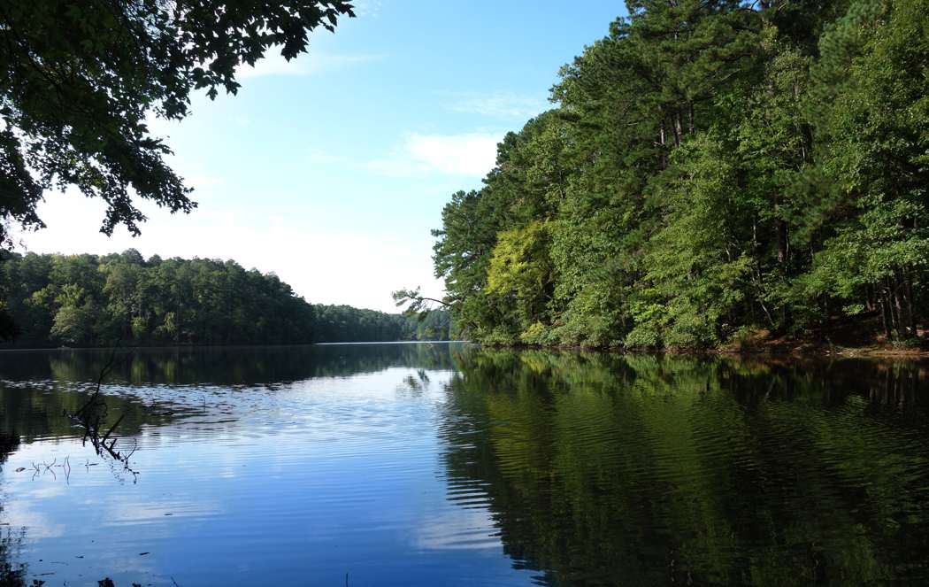 lake johnson in the Southgate neighborhood in Raleigh
