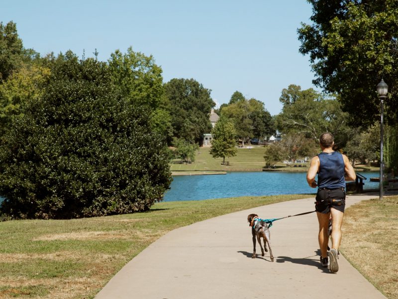 Man walking a dog around a lake in a Charlotte park