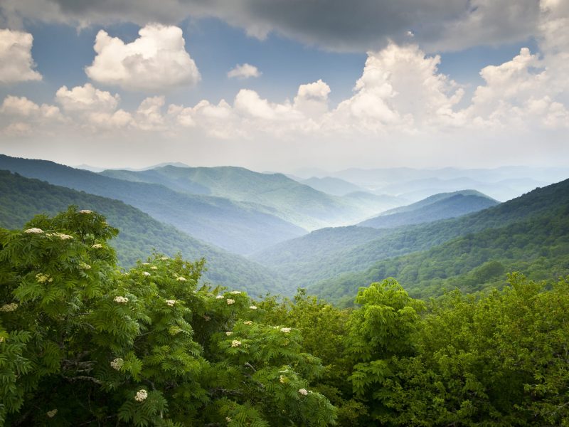 Blue Ridge Parkway Scenic Mountains Overlook Summer Landscape Asheville NC at Craggy Gardens in WNC