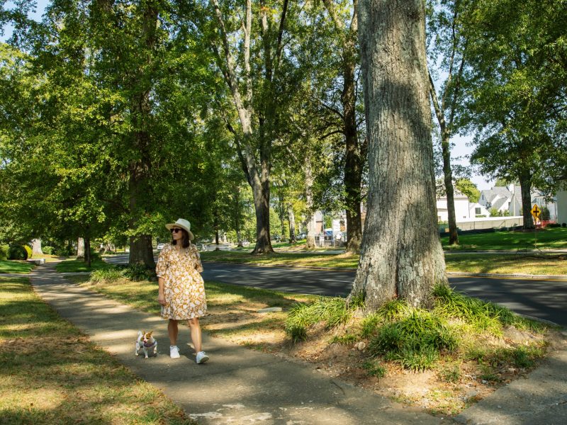 Woman walking a dog along a tree-lined park path