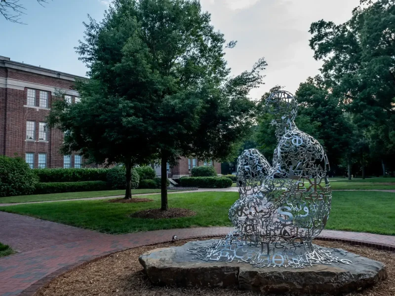 TSG Downtown Davidson (HD) 24